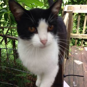 Meet your Posher, Karin